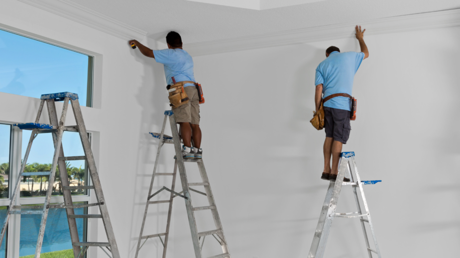 Nutrend Team wroking on Crown molding